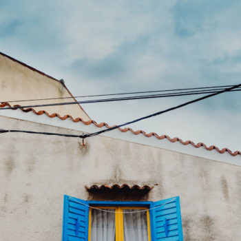 Moskitiery, czyli siatki na okna chroniące przed owadami Moskitiery, czyli siatki na okna chroniące przed owadami