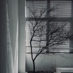 Plisy - nowoczesna, a zarazem estetyczna osłona na okno