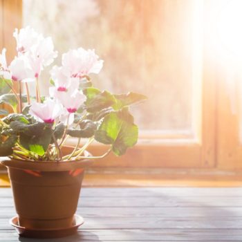 Rolety dzień noc – piękne i praktyczne Rolety dzień noc – piękne i praktyczne