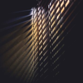 Jak skutecznie zaciemnić pomieszczenie i zabezpieczyć je przed wpadającymi do środka owadami