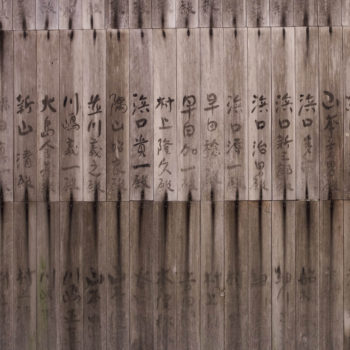 Poznaj zalety paneli japońskich