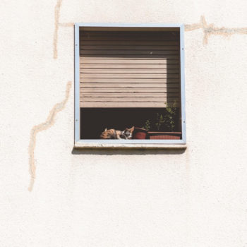 Dlaczego warto zdecydować się na rolety zewnętrze? Dlaczego warto zdecydować się na rolety zewnętrze?